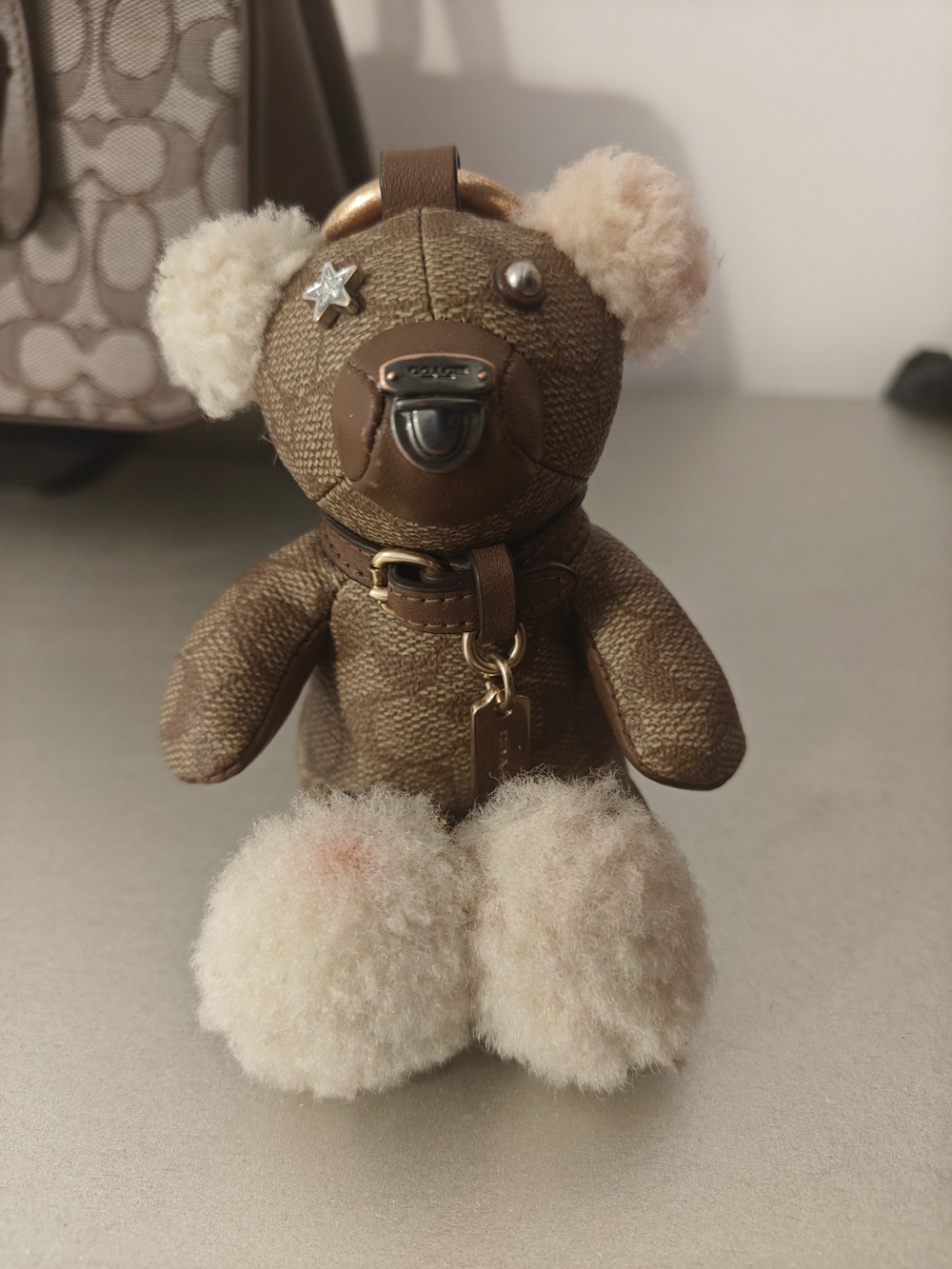 Coach Teddy Bear